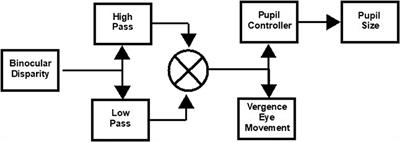 Distinctive Convergence Eye Movements in an Acquired Neurosensory Dysfunction